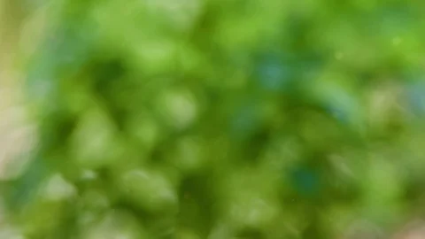 Abstract color background with bokeh motion Stock Footage 109189448