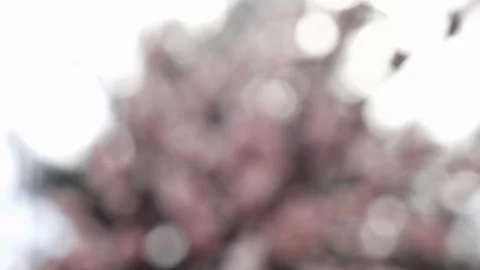 Abstract color background with bokeh motion Stock Footage 109189634