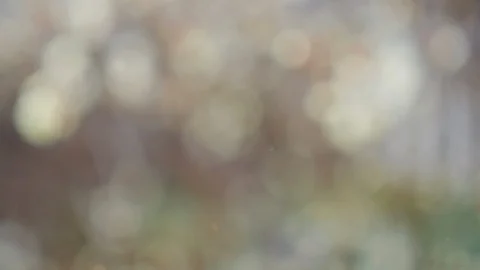 Abstract color background with bokeh motion Stock Footage 109190272