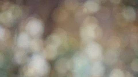Abstract color background with bokeh motion Stock Footage 109190556