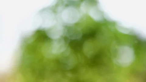 Abstract color background with bokeh motion Stock Footage 111352485