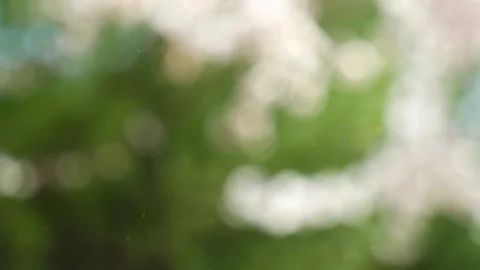 Abstract color background with bokeh motion Stock Footage 111352882