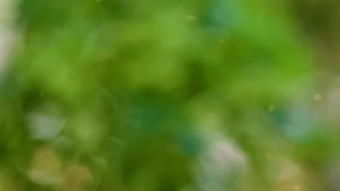 Abstract color background with bokeh motion Stock Footage 111353057