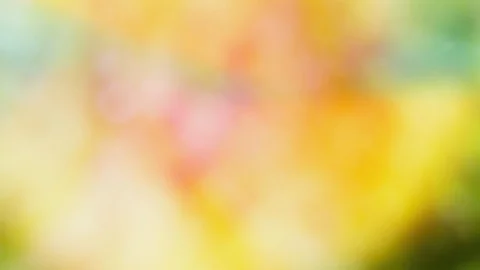Abstract color background with bokeh motion Stock Footage 112313643