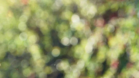 Abstract color background with bokeh motion Stock Footage 113252954