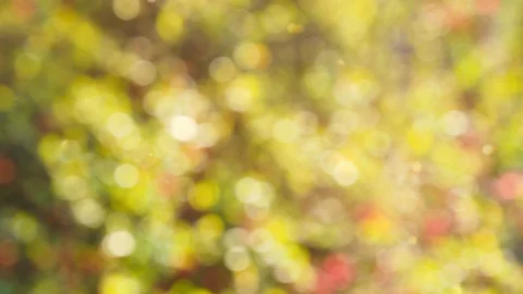 Abstract color background with bokeh motion Stock Footage 113254703