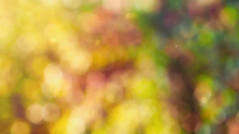Abstract color background with bokeh motion Stock Footage 113254712