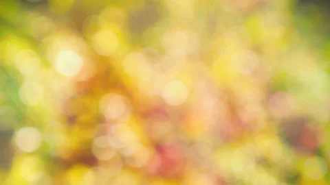 Abstract color background with bokeh motion Stock Footage 113256404
