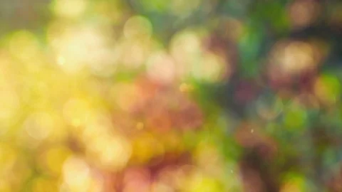 Abstract color background with bokeh motion Stock Footage 114147101