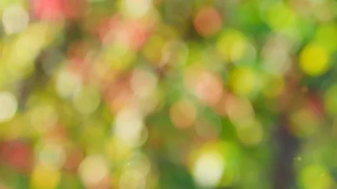 Abstract color background with bokeh motion Stock Footage 115616902