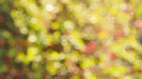 Abstract color background with bokeh motion Stock Footage 115619979