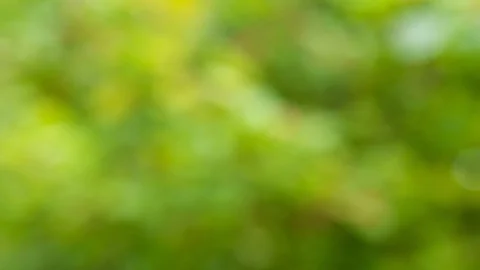 Abstract color background with bokeh motion Stock Footage 115811658