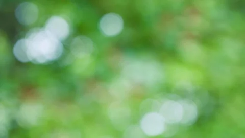 Abstract color background with bokeh motion Stock Footage 115816133