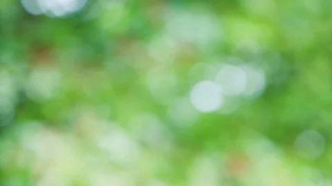 Abstract color background with bokeh motion Stock Footage 115816396