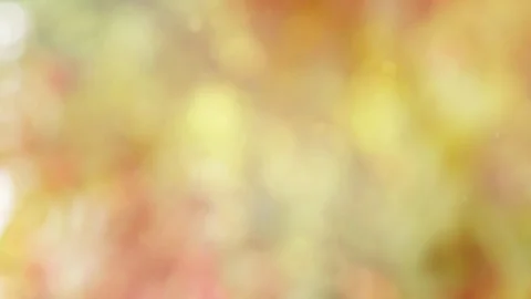 Abstract color background with bokeh motion Stock Footage 115818682