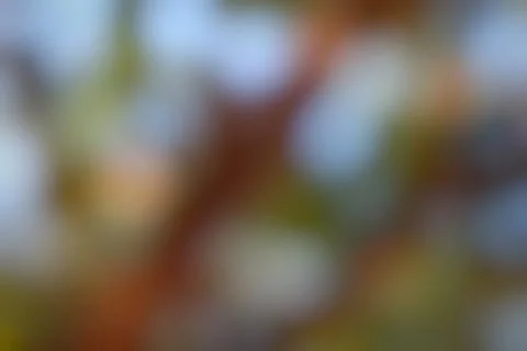 Abstract color diffusion background bokeh pattern blur Foto stock