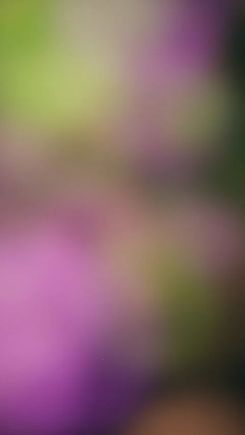 Abstract color fields create a dynamic and immersive visual experience Stock Footage 327626112