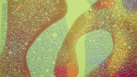 Abstract Color Liquid Element Water Drops. Stock Footage 147994339