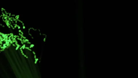 Abstract Color Shift Light Trails. Futuristic Video Stock Footage 304472188