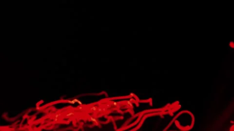 Abstract Color Shift Light Trails. Futuristic Video Stock Footage 304472210