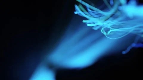 Abstract Color Shift Light Trails. Futuristic Video Stock Footage 304473090