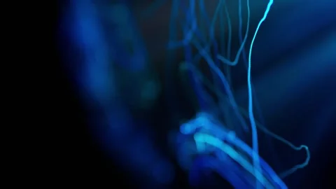 Abstract Color Shift Light Trails. Futuristic Video Stock Footage 304474137