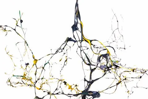 Abstract color splash Stock Illustration