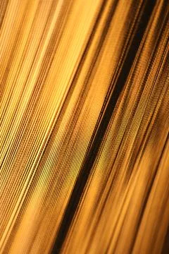 Abstract Color Thread closeup 写真素材