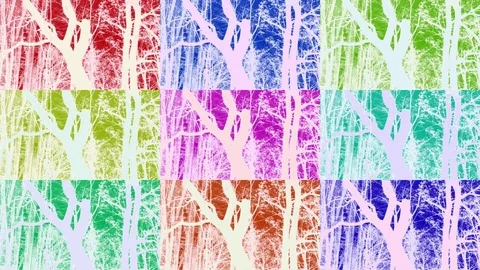 Abstract Colored Background With Big Trees At Various Color Filters Stock Footage 91251574