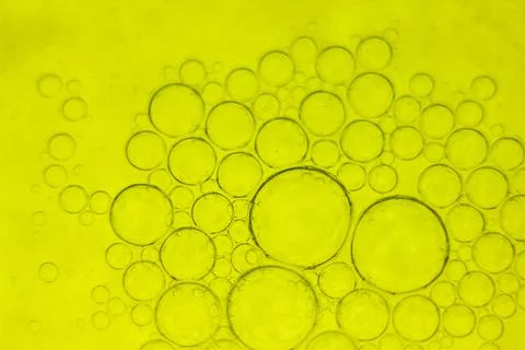 Abstract colored background with circles, hd abstract colorful background Photos