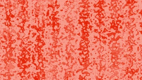 Abstract Colored Background Particles 22 Stock Footage 218466535