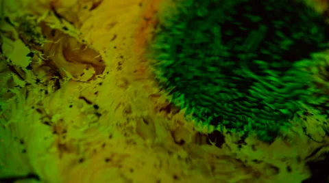 Abstract colored blobs of neon algae floating in liquid against black closeup Stock Footage 63878797