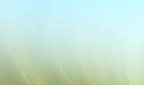 Abstract colored blur lines background and blurred Stock Illustration