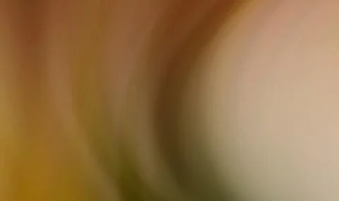 Abstract colored blur lines background and blurred Stock Illustration