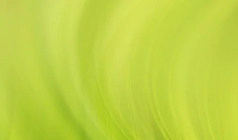 Abstract colored blur lines background and blurred Stock Illustration