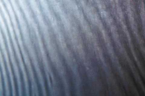 Abstract colored blurred wavy background from defocused thin meshes Stock Illustration