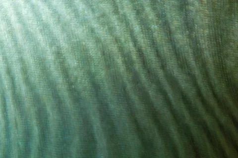 Abstract colored blurred wavy background from defocused thin meshes Stock Photos