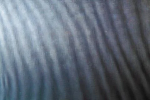 Abstract colored blurred wavy background from defocused thin meshes Stock Photos