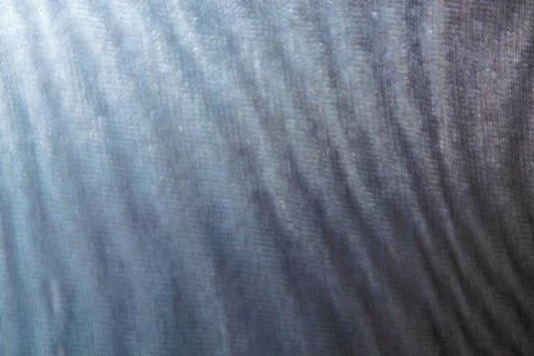 Abstract colored blurred wavy background from defocused thin meshes Stock Photos