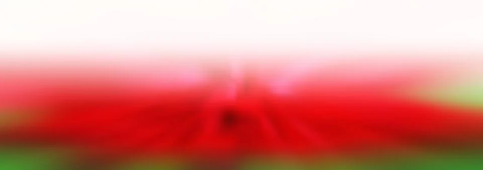 Abstract colored gradient lines background and blurred Stock Photos