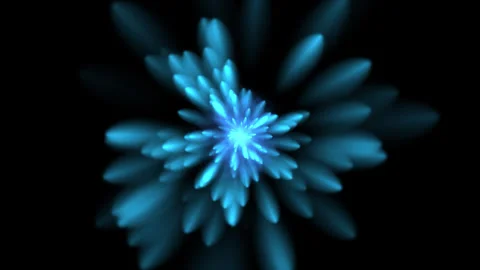 Abstract colored star on black background 2 Stock Footage 296242706