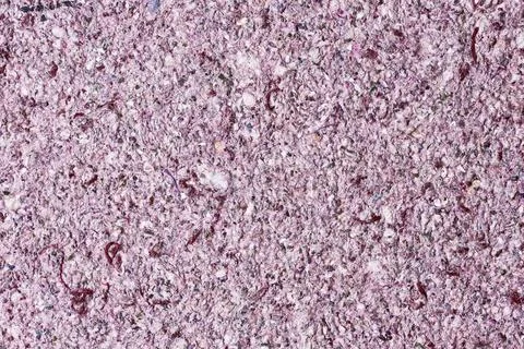 Abstract colored wall background. Abstract colored decorative texture of liquid Stock Photos
