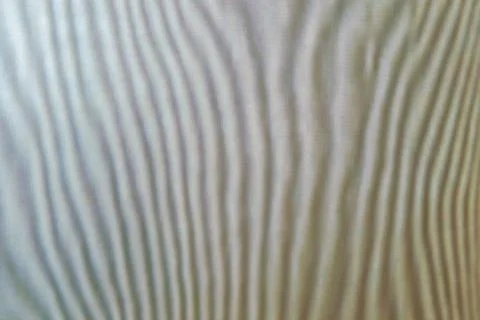 Abstract colored wavy background of interference overlay fine meshes, combina Stock Photos