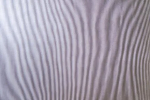 Abstract colored wavy background of interference overlay fine meshes, combina Stock Photos