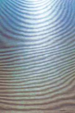 Abstract colored wavy background of interference overlay fine meshes, combina Stock Photos