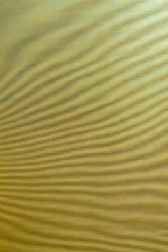 Abstract colored wavy background of interference overlay fine meshes, combina Stock Photos