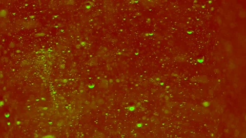 Abstract colorful background. Foam of Soap with Bubbles moving macro shot. Stock Footage 150578293