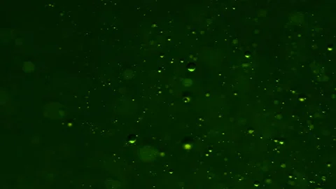 Abstract colorful background. Foam of Soap with Bubbles moving macro shot. 스톡 동영상 150578536