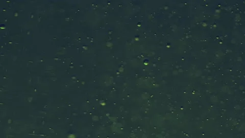 Abstract colorful background. Foam of Soap with Bubbles moving macro shot. Video stock 150578923