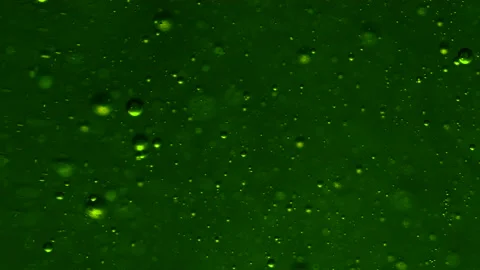 Abstract colorful background. Foam of Soap with Bubbles moving macro shot. Stock Footage 150579378
